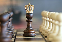 Факультативы по шахматам станут обязательными