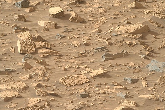 Perseverance нашел на Марсе камни необычной текстуры