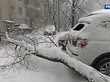Выходные в снежном плену: непогода парализовала весь транспорт