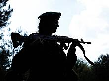 Поляки массово отказались учиться воевать