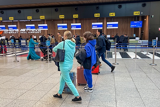 Росавиация предложила россиянам оценить работу аэропортов московского региона