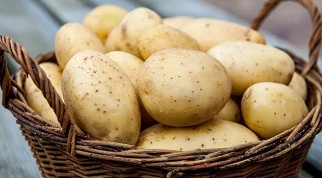 Учёные доказали, что жареный картофель полезнее вареного
