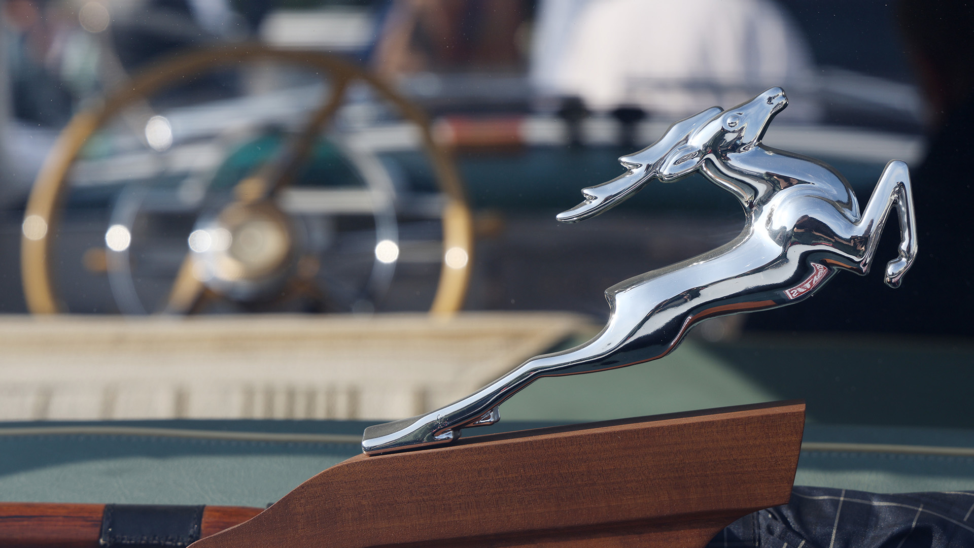 �����&nbsp; ���� ���������� ���������, ����� ������ ������ ������ �������� �����. ������� ��������