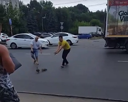 Вежливые дальнобойщики остановили движение на Новикова Прибоя, чтобы пропустить маму с утятами