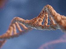 Эксперт рассказал о влиянии генов на стрессоустойчивость