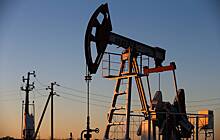 В США предрекли взлет цен на нефть до $380