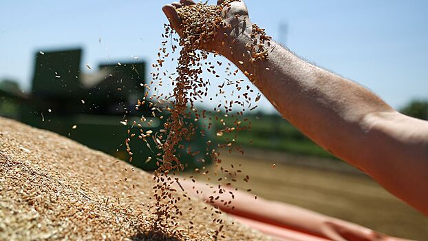 Повышена вывозная пошлина на пшеницу