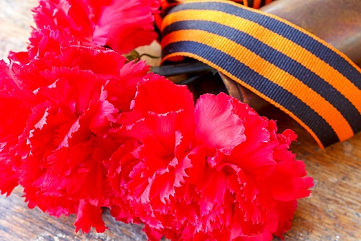 Европа, пытаясь запретить День Победы, проводит политику расчеловечивания