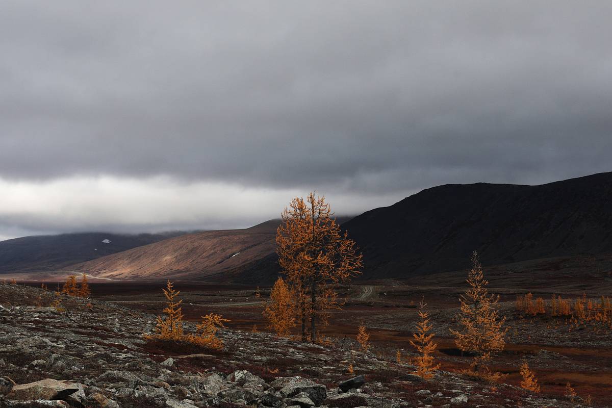 Пропавший в тайге вместе с семьей Усольцев хотел отправиться на перевал Дятлова
