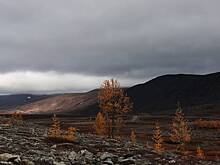 Пропавший в тайге вместе с семьей Усольцев хотел отправиться на перевал Дятлова