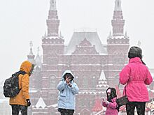 Стало известно, какие направления пользовались наибольшим спросом у россиян