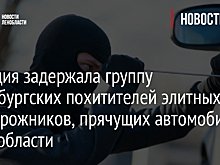 Полиция задержала группу петербургских похитителей элитных внедорожников, прячущих автомобили в Ленобласти