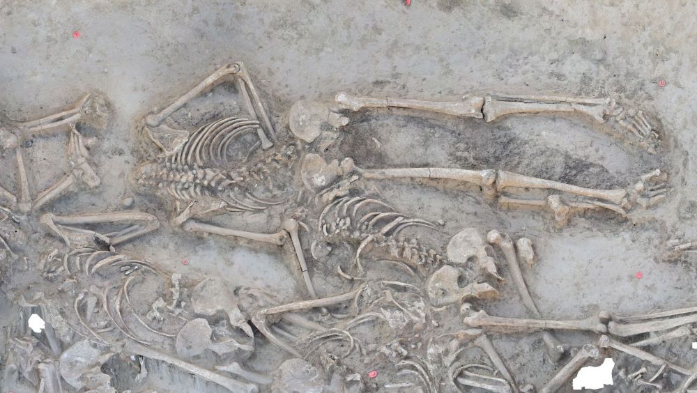 В Словакии обнаружили 38 обезглавленных скелетов, захороненных 7000 лет назад