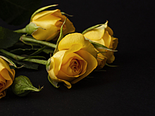 Погиб в ДТП актер сериалов «Анатомия страсти» и «Главный госпиталь» Брэд Эверетт Янг