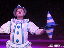 Цирк «Джемелли» проведет открытую репетицию в Краснодаре 4 августа