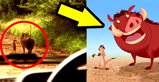 Знаменитые персонажи из мультфильмов, которые существуют в реальности