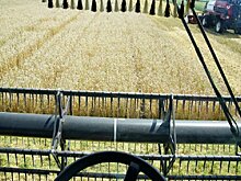 Уборочная кампания в Башкирии радует аграриев рекордно высокой урожайностью