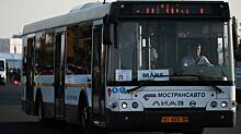 Автобусные туры на курорты Черного моря запустят летом из Москвы