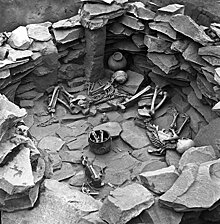 Совместная археологическая экспедиция Киева и ДНР обнаружила поселение бронзового века