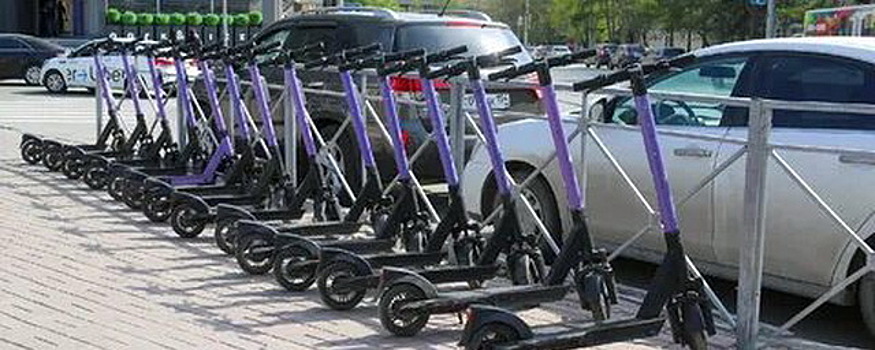 В Петербурге для контроля пользователей электросамокатов запустили чат-бот