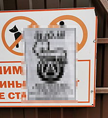 Суд вынес приговор распространителям листовок, оправдывавших теракт в Архангельске