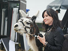 BH90210: актеры культового сериала «Беверли Хиллз 90210» снова вместе