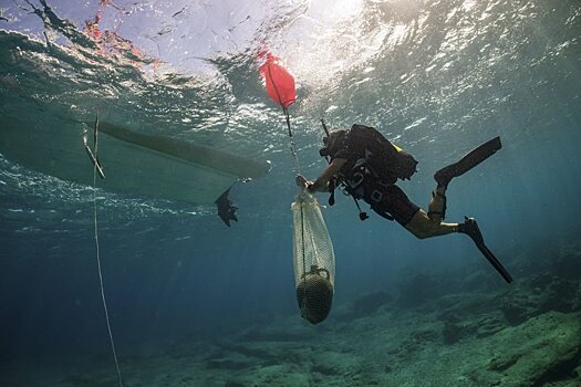 На дне Эгейского моря найдены три древних корабля