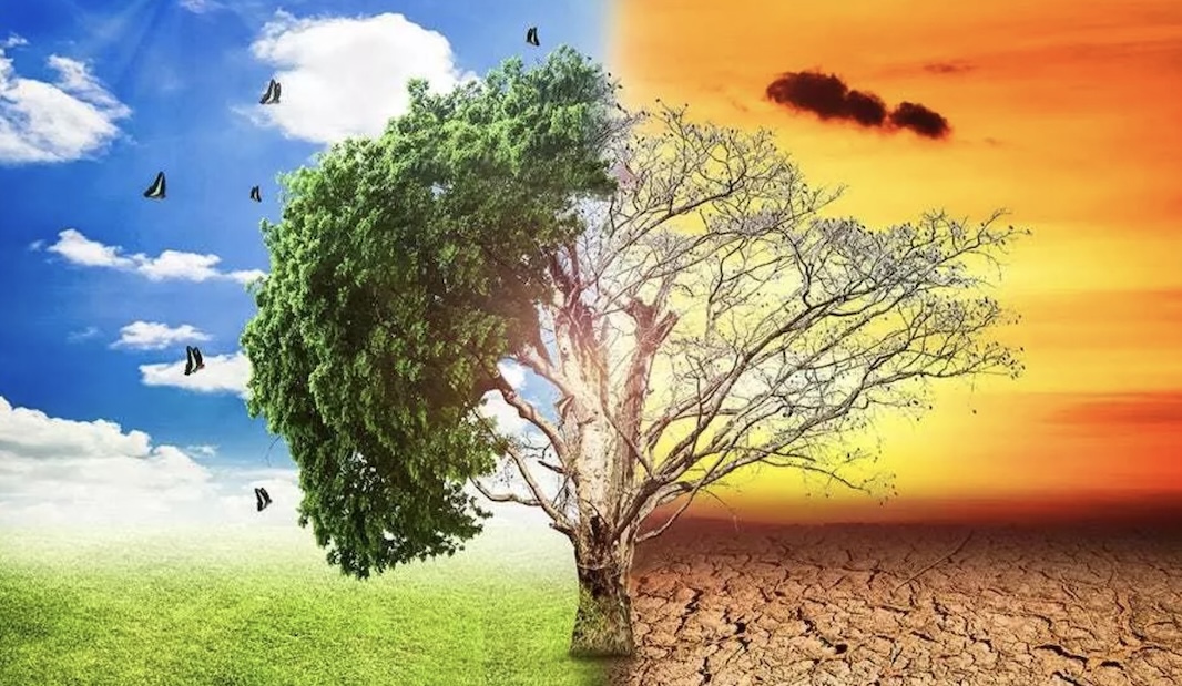 Учёные рассказали, что сейчас известно об изменении климата