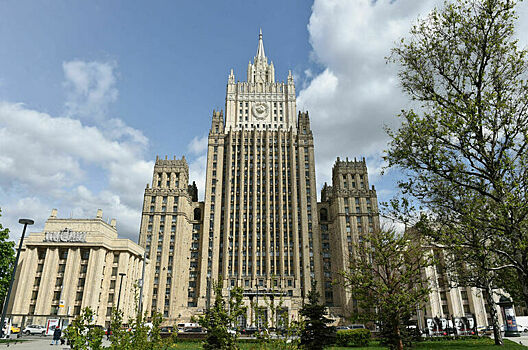 Консульскую поддержку российских диаспор за рубежом предложили расширить