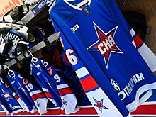 СКА — «Автомобилист»: онлайн-трансляция матча турнира имени Пучкова начнётся в 19:00 мск