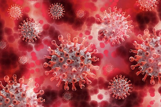 Цепочка заражений: из-за чего болезнетворные вирусы начали активно мутировать
