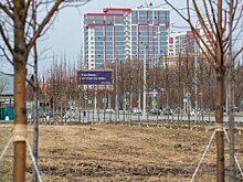 В Казани предоставят отсрочку платежей за установку рекламных конструкций за II квартал 2023 года