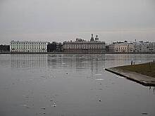 В петербургском ПНИ ответили на обвинения в гибели воспитанников