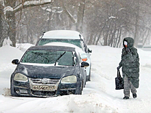 Как москвичи переживают снежный апокалипсис