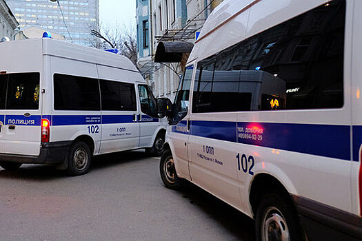 Водители грузовых такси устроили массовую драку у ТЦ в центре Москвы