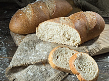 Тренды в хлебной индустрии: взгляд в будущее