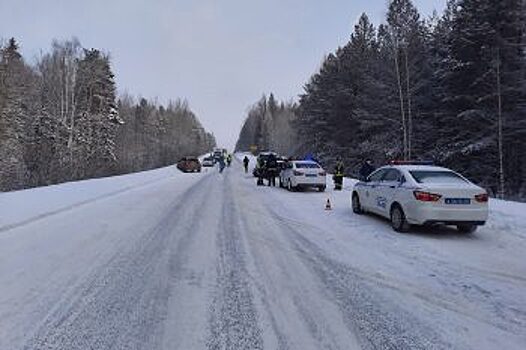 В Нижнем Тагиле возбудили уголовное дело по факту ДТП с погибшими