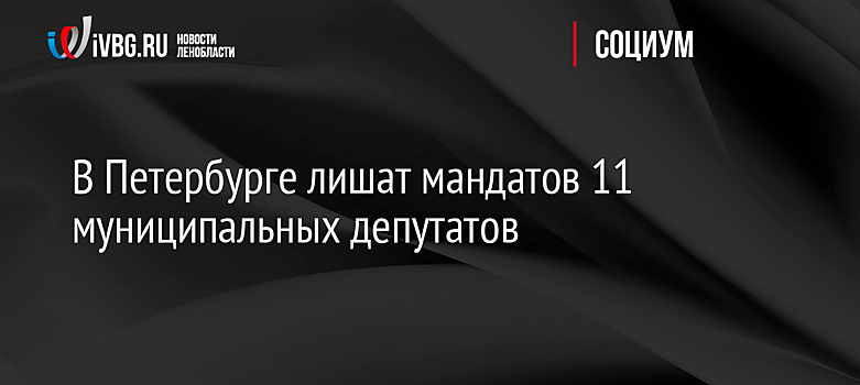 В Петербурге лишат мандатов 11 муниципальных депутатов