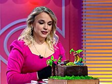 Саратовский кондитер представила торт в бразильском стиле на популярном телеканале