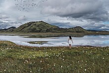 В Исландии запустили сайт для желающих покричать в поле
