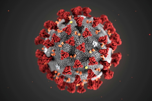 В мире коронавирус выявили у 5,8 млн человек