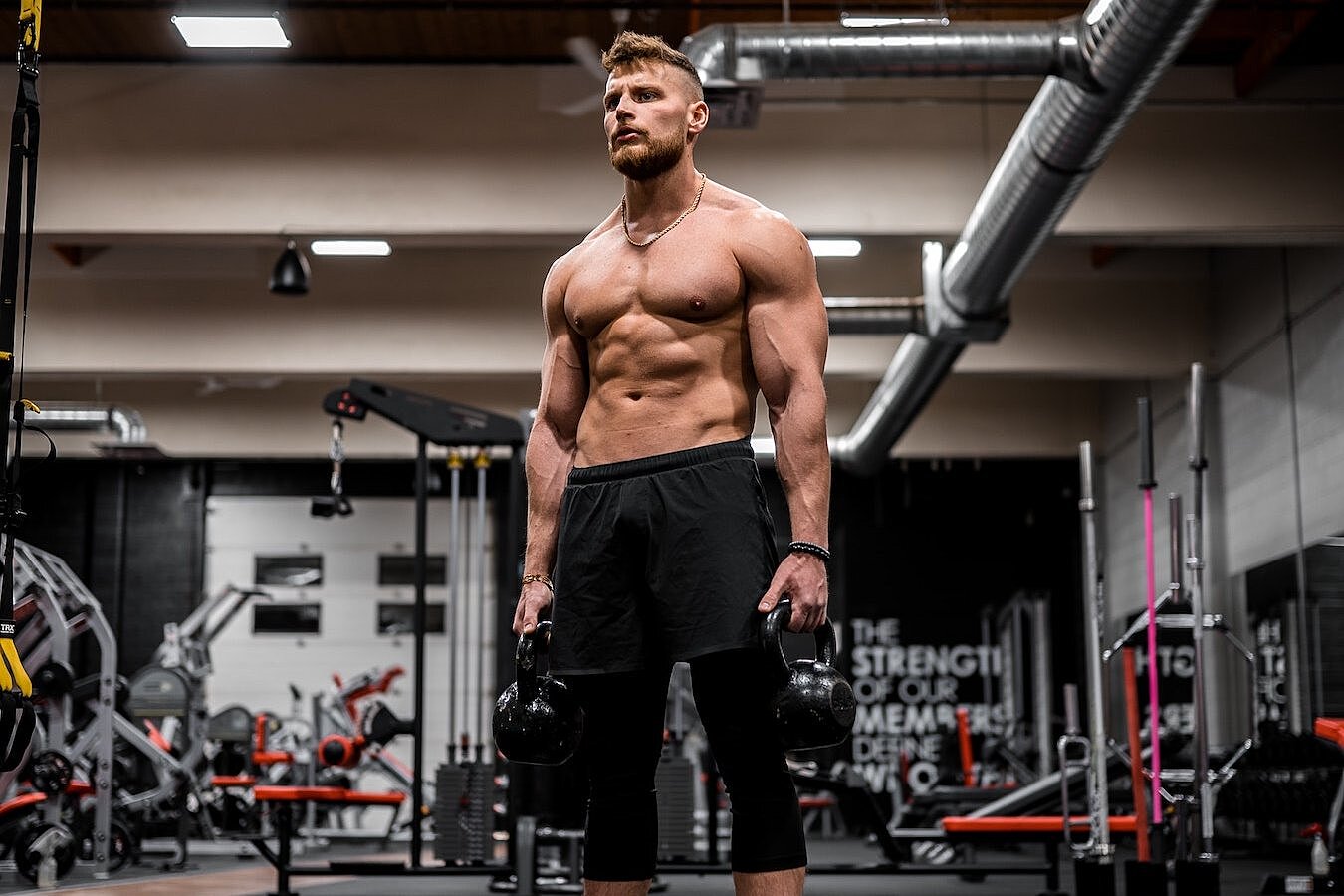 Shredded Triceps