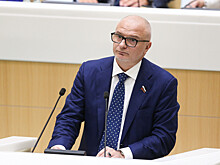 В Совфеде призвали ЦБ учитывать влияние доллара на социальные права россиян