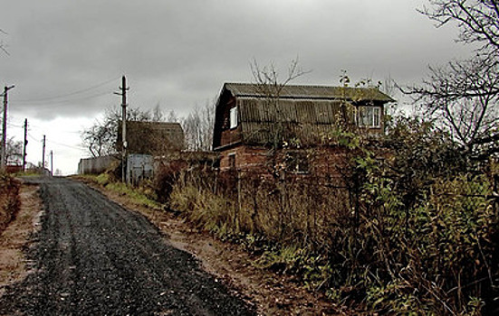 Собственники борются с хозяевами заброшенных участков в подмосковном СНТ