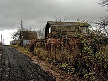 Собственники борются с хозяевами заброшенных участков в подмосковном СНТ