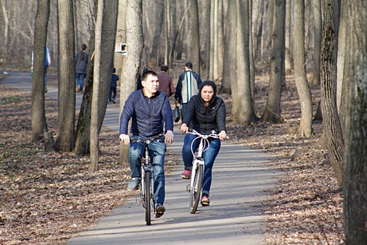 В «Уфимских липах» звезды спорта и искусства построят беседку