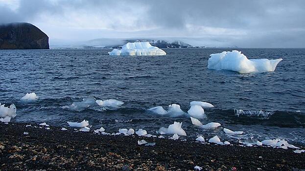 Лед начнет исчезать с арктических морей в ближайшие 10 лет