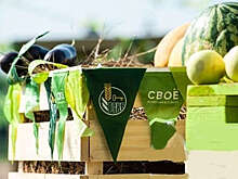 Глава Россельхозбанка Борис Листов о малом агробизнесе и мерах его поддержки