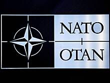Стало известно о панике Рютте и членов НАТО из-за Трампа