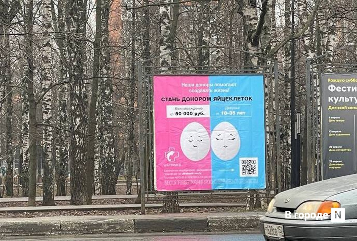 Рекламу о донорстве яйцеклеток уберут после возмущений нижегородцев